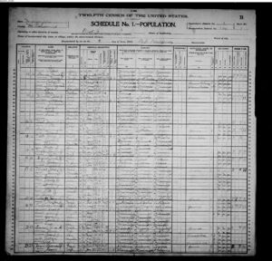1900 U.S. Federal Population Census