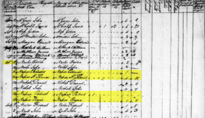 1787 Montgomery County Virginia tax list shows Edmond Napier with his father Patrick Napier Sr, brother Thomas Hughes Napier , and brother Rene Napier
