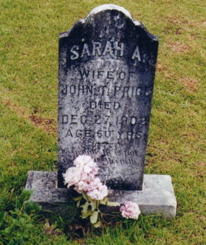 Sarah Ann Cleckler Price