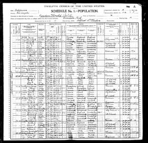 Census 1900
