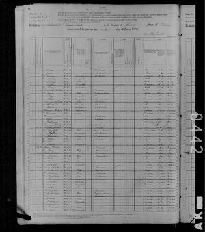1880 Census, Charity (Allbright) Tinnin