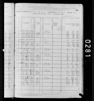 United States Census 1880