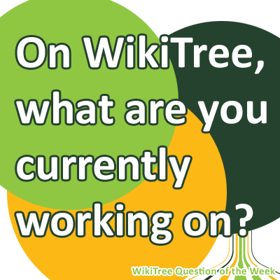 on-WikiTree.png