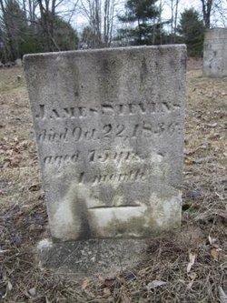 James Stevens (1761-1836) Headstone