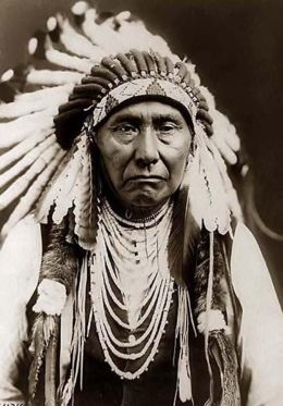Native Americans: Nez Perce Image 1