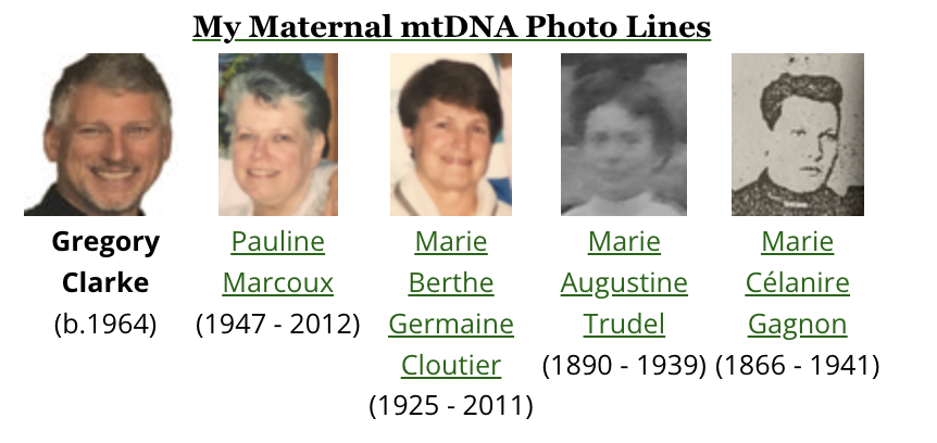Photo Lines example - Maternal lineage