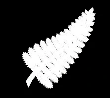 New_Zealand_All_Blacks-2.png