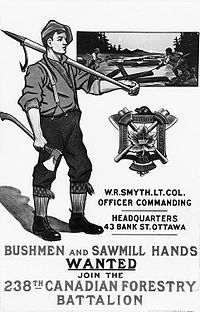 Canadian Forestry Corps. Recruitment Poster.