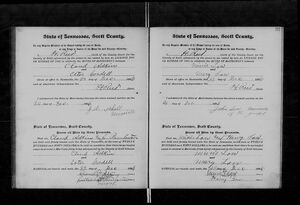 Marriage Record for Mary Elizabeth Low and Minnis Lowe
