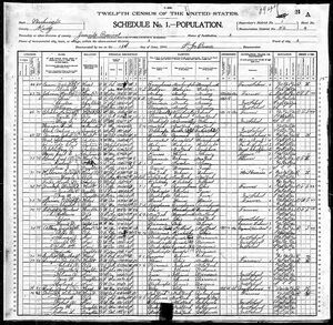 1900 United States Federal Census for Robert A Daniels