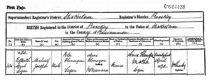 Birth Record : Michael Joseph Flanagan (1890 - 1892)
