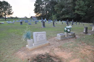 Alex Sullivan Cemetery - Graves East Side