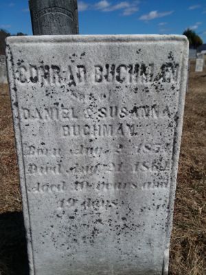 Conrad Buchman gravestone