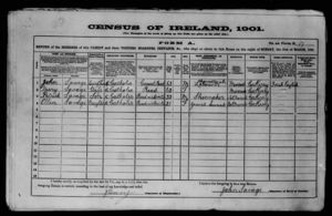 1901 Irish Census - John Savage and Family