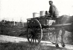 John Wright with the milk  On the daily trip to Rowan Dairy Factory