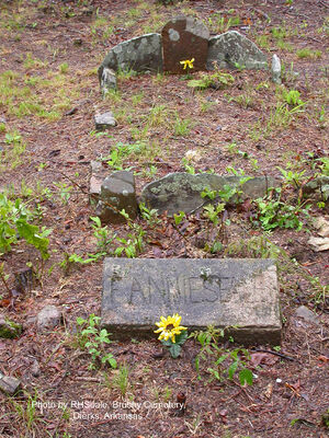 Fannie Seales headstone