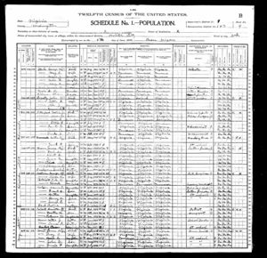 1900 Federal Census pg1