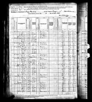 1880 U.S. Census