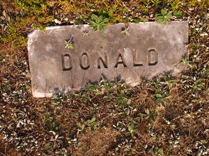 Headstone, Donald Blake