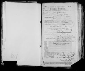 Death certificate Louisa Catherine Seager nee Crawley