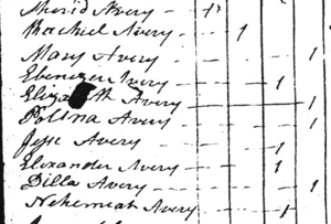 Elizabethtown Township: 1802 Census