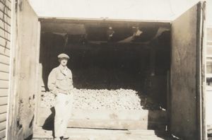 Will Lane, a potato harvest
