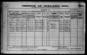 1901 Irish Census - John Flaherty and Family