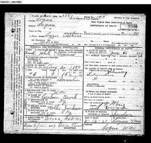 Elizabeth Adkins (nee' Brock) Death Certificate