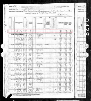 Adam D Lingle family, 1880 census, pg 2