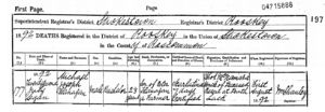 Death Record : Michael Joseph Flanagan (1890 - 1892)