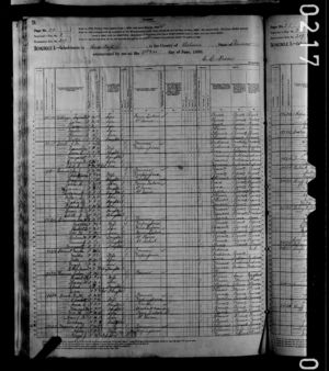 George W Creamer - United States Census, 1880  Kansas Osborne Ross ED 209