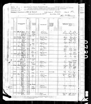 1880 US census for Francis & Elizabeth Copeland and children, Robert  & Lucinda Copeland are next door