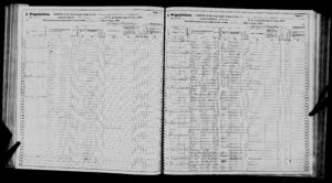 Census 1875