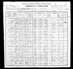 John All Family 1900 Census