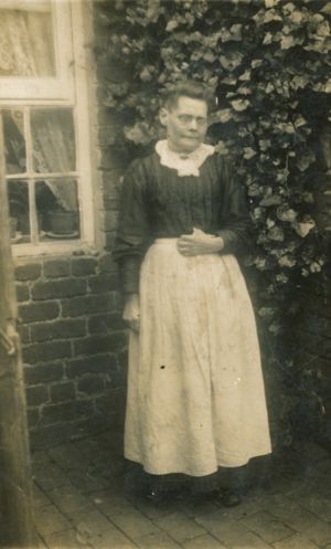 Mary Ann (Gadd) Willetts (1859-1933) | WikiTree FREE Family Tree