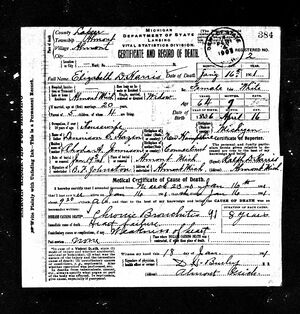 Elizabeth (Hazen) Harris Death Certificate