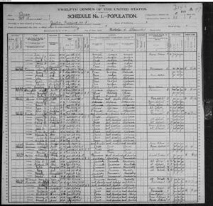 United States Census, 1900