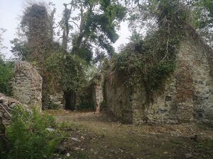 Ruins of Stackpole Court