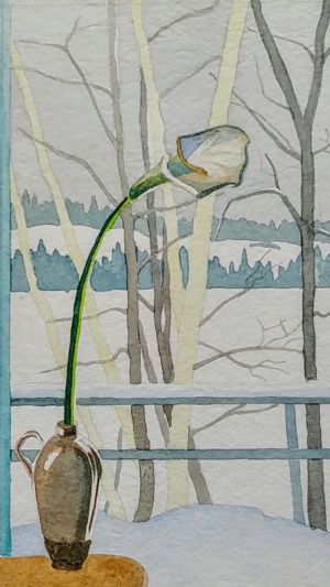 Winter Lily, Paudash Lake, Watercolour, 6.75 x 11.25, 1986