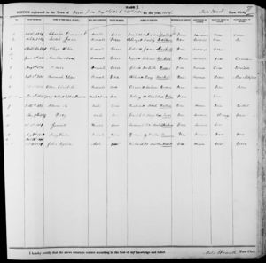 Birth Record: George & Sophia Peirce, November 8, 1848