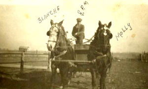 John Merryman and horses Blanche and Molly: used these horses when he worked as  a Road Grader. Horses owned by Burnett FREEMAN who was the Road Overseer.