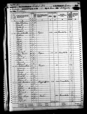 Andrew Gadberry 1860 Census, p.9