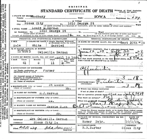 Death Certificate of Louis M. Herman