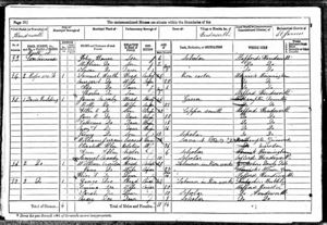 1871 Census: Booth Street, page 20