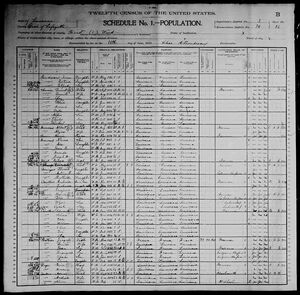 1900 US Census Dugas Household
