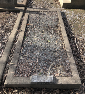 Grave of Daniel-8483 and Hadler-135 pic 01