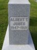 Albert Jones