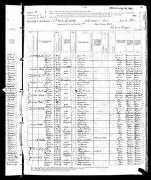 1880 United States Federal Census for William Nagel