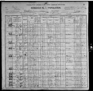 1900 US Census Morris County Texas
