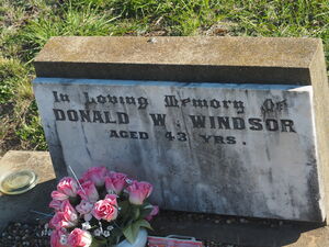 Donald Windsor